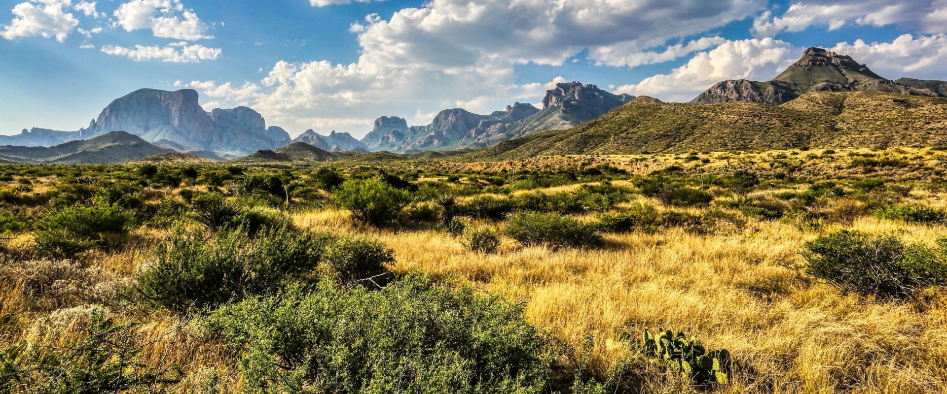 Exploring the Cultural Heritage of Central Texas