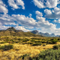 Exploring the Cultural Heritage of Central Texas