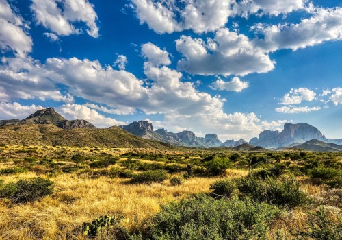 Exploring the Cultural Heritage of Central Texas